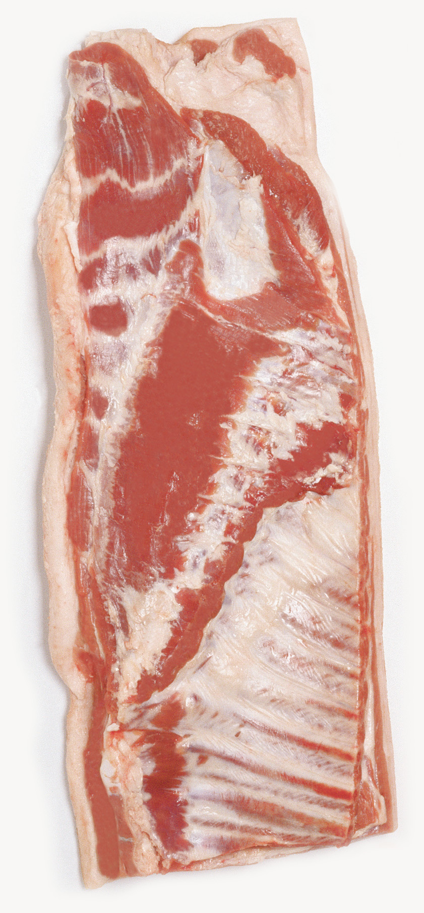 Pork Belly
