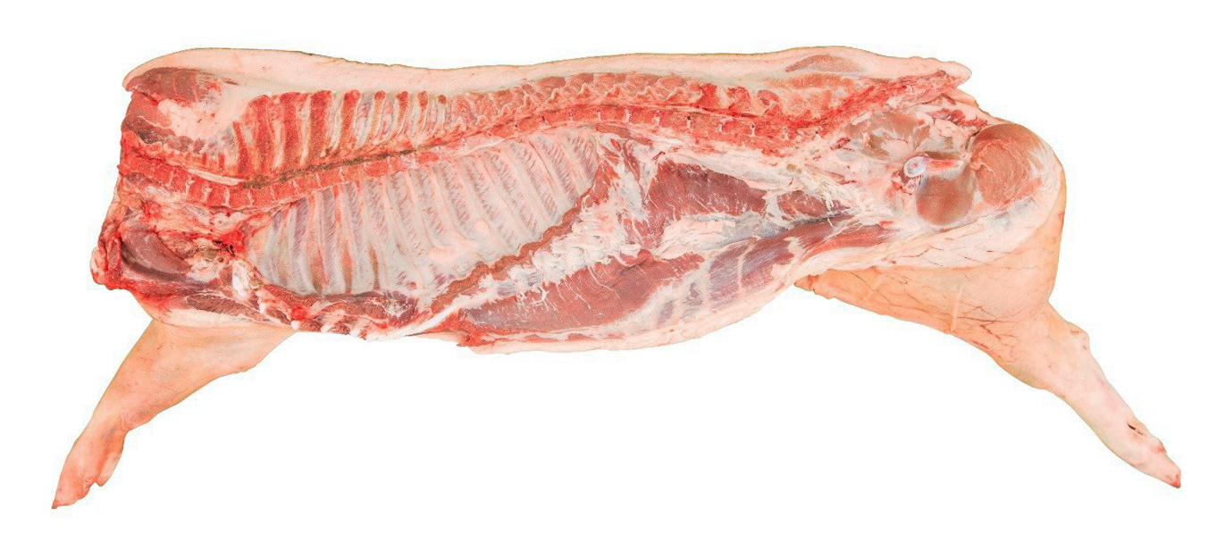 Half Hog