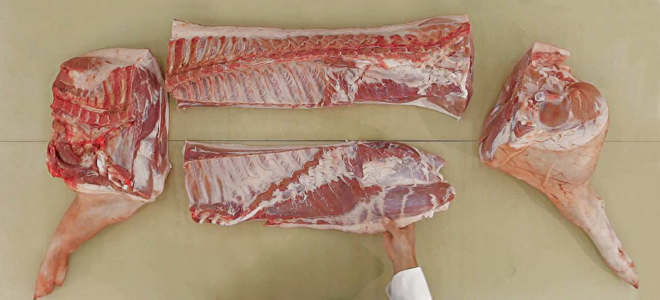 Jamie Waldron-Butchery 5