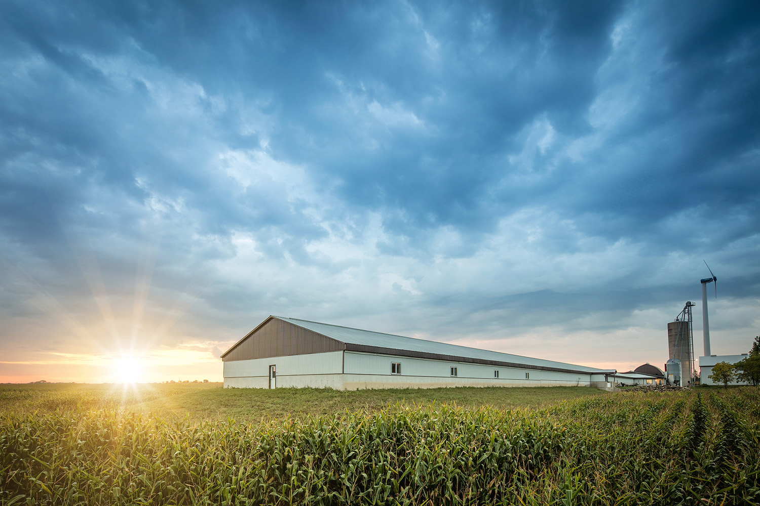 Hog Tied farm at landscape at sunrise